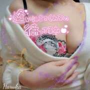 ヒメ日記 2024/12/12 17:16 投稿 花野はるか ABC 岩手ソープ