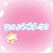 ヒメ日記 2025/03/30 09:01 投稿 花野はるか ABC 岩手ソープ