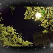 ヒメ日記 2025/04/29 23:01 投稿 花野はるか ABC 岩手ソープ