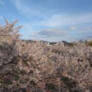 ヒメ日記 2025/05/01 06:16 投稿 花野はるか ABC 岩手ソープ