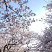 ヒメ日記 2025/05/01 18:31 投稿 花野はるか ABC 岩手ソープ