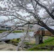 ヒメ日記 2025/05/02 15:16 投稿 花野はるか ABC 岩手ソープ