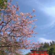 ヒメ日記 2025/05/07 06:01 投稿 花野はるか ABC 岩手ソープ