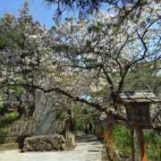 ヒメ日記 2025/05/07 18:01 投稿 花野はるか ABC 岩手ソープ