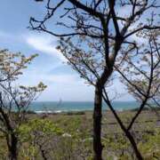 ヒメ日記 2025/05/08 18:16 投稿 花野はるか ABC 岩手ソープ