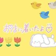 ヒメ日記 2025/05/13 08:46 投稿 花野はるか ABC 岩手ソープ