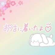 ヒメ日記 2025/05/16 08:46 投稿 花野はるか ABC 岩手ソープ