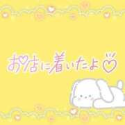 ヒメ日記 2025/05/19 08:46 投稿 花野はるか ABC 岩手ソープ