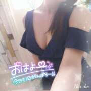 ヒメ日記 2025/05/20 06:01 投稿 花野はるか ABC 岩手ソープ