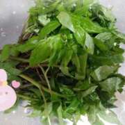 ヒメ日記 2025/05/22 06:01 投稿 花野はるか ABC 岩手ソープ