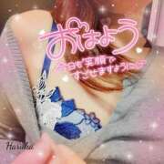 ヒメ日記 2025/05/24 06:01 投稿 花野はるか ABC 岩手ソープ