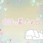 ヒメ日記 2025/05/24 08:46 投稿 花野はるか ABC 岩手ソープ