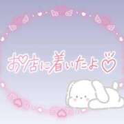 ヒメ日記 2025/06/10 08:46 投稿 花野はるか ABC 岩手ソープ