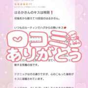 ヒメ日記 2025/06/17 17:16 投稿 花野はるか ABC 岩手ソープ