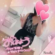 ヒメ日記 2025/06/19 06:01 投稿 花野はるか ABC 岩手ソープ