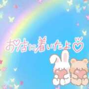 ヒメ日記 2025/06/19 08:46 投稿 花野はるか ABC 岩手ソープ