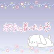 ヒメ日記 2025/06/20 08:46 投稿 花野はるか ABC 岩手ソープ