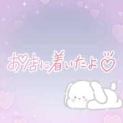 ヒメ日記 2025/06/23 08:46 投稿 花野はるか ABC 岩手ソープ