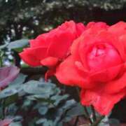 ヒメ日記 2025/06/25 23:01 投稿 花野はるか ABC 岩手ソープ