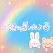 ヒメ日記 2025/06/26 08:46 投稿 花野はるか ABC 岩手ソープ