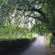 ヒメ日記 2025/06/27 05:46 投稿 花野はるか ABC 岩手ソープ