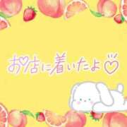 ヒメ日記 2025/07/03 08:46 投稿 花野はるか ABC 岩手ソープ