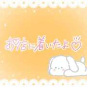 ヒメ日記 2025/07/07 08:46 投稿 花野はるか ABC 岩手ソープ