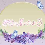 ヒメ日記 2025/07/11 08:46 投稿 花野はるか ABC 岩手ソープ