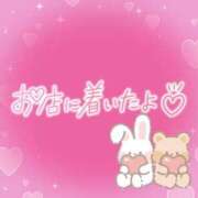 ヒメ日記 2025/07/15 09:01 投稿 花野はるか ABC 岩手ソープ