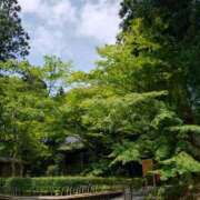 ヒメ日記 2025/07/17 06:01 投稿 花野はるか ABC 岩手ソープ