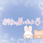 ヒメ日記 2025/07/24 08:46 投稿 花野はるか ABC 岩手ソープ