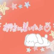 ヒメ日記 2025/07/26 08:46 投稿 花野はるか ABC 岩手ソープ