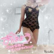 ヒメ日記 2025/07/30 06:01 投稿 花野はるか ABC 岩手ソープ