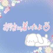 ヒメ日記 2025/08/08 16:46 投稿 花野はるか ABC 岩手ソープ