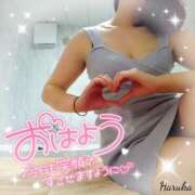 ヒメ日記 2025/08/12 06:01 投稿 花野はるか ABC 岩手ソープ