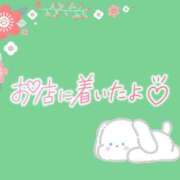 ヒメ日記 2025/08/12 15:46 投稿 花野はるか ABC 岩手ソープ