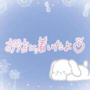 ヒメ日記 2025/08/18 08:46 投稿 花野はるか ABC 岩手ソープ