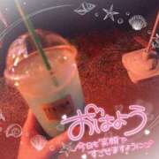 ヒメ日記 2025/08/19 06:01 投稿 花野はるか ABC 岩手ソープ