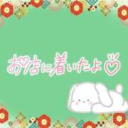 ヒメ日記 2025/08/19 15:46 投稿 花野はるか ABC 岩手ソープ