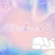 ヒメ日記 2025/08/21 15:46 投稿 花野はるか ABC 岩手ソープ