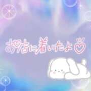 ヒメ日記 2025/08/25 08:46 投稿 花野はるか ABC 岩手ソープ