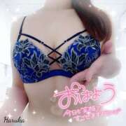 ヒメ日記 2025/08/26 06:01 投稿 花野はるか ABC 岩手ソープ