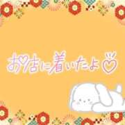 ヒメ日記 2025/08/26 08:46 投稿 花野はるか ABC 岩手ソープ