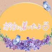 ヒメ日記 2025/08/29 08:46 投稿 花野はるか ABC 岩手ソープ