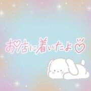 ヒメ日記 2025/09/01 08:46 投稿 花野はるか ABC 岩手ソープ