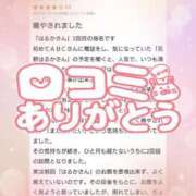 ヒメ日記 2025/09/03 01:01 投稿 花野はるか ABC 岩手ソープ