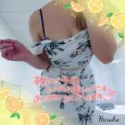 ヒメ日記 2025/09/04 00:16 投稿 花野はるか ABC 岩手ソープ