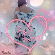 ヒメ日記 2025/09/05 06:01 投稿 花野はるか ABC 岩手ソープ