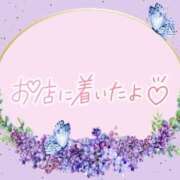 ヒメ日記 2025/09/11 08:46 投稿 花野はるか ABC 岩手ソープ