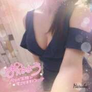 ヒメ日記 2025/09/18 07:46 投稿 花野はるか ABC 岩手ソープ